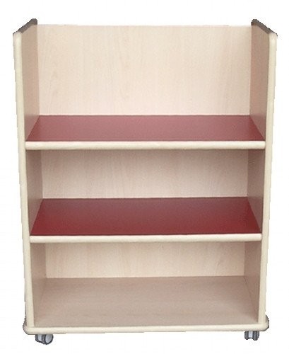 Armario biblioteca 4