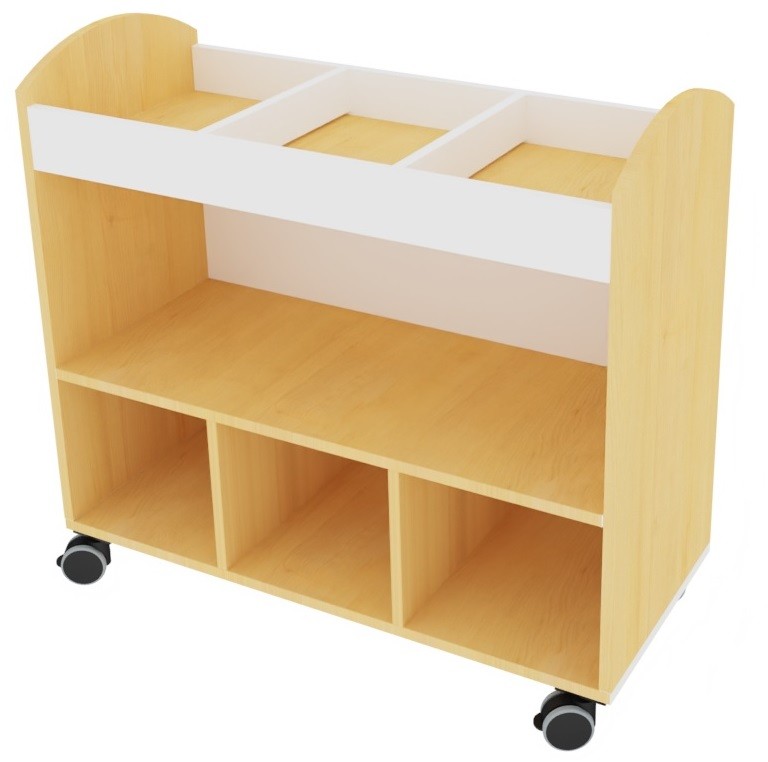 Armario biblioteca 2