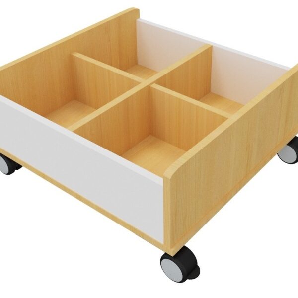 Armario biblioteca 1