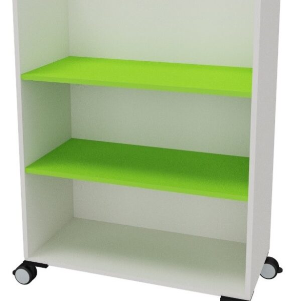 Armario biblioteca 4