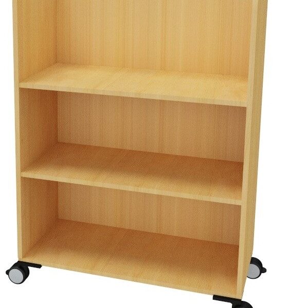 Armario biblioteca 4