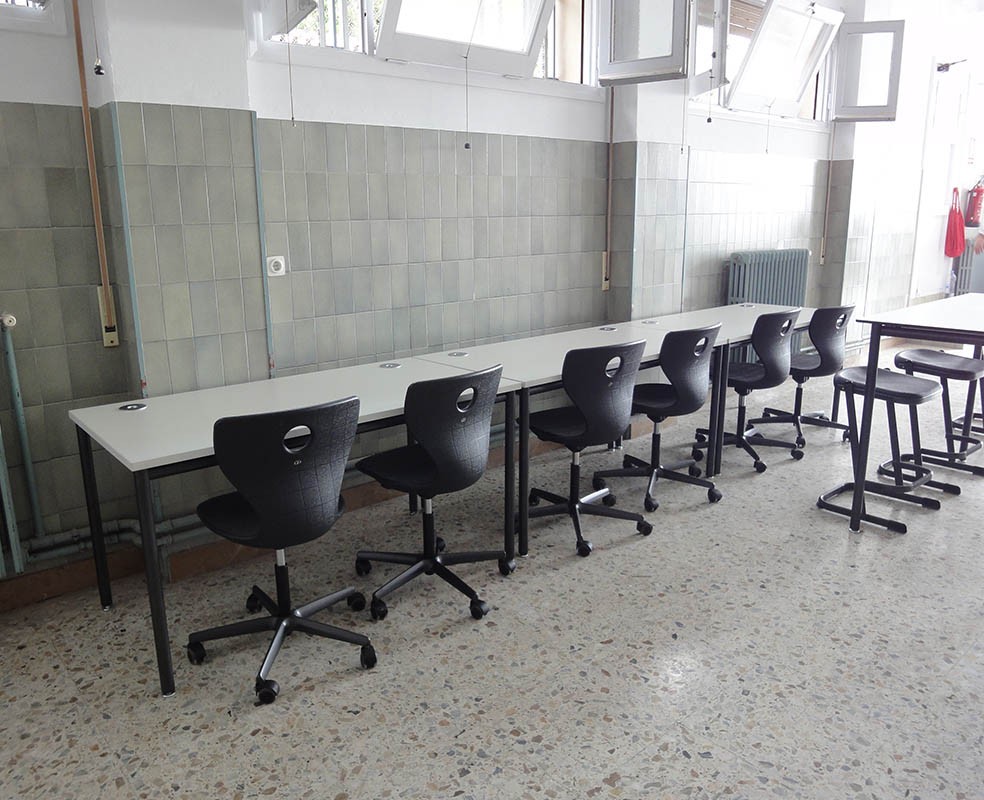 Silla PantoMove-Lupo talla 6