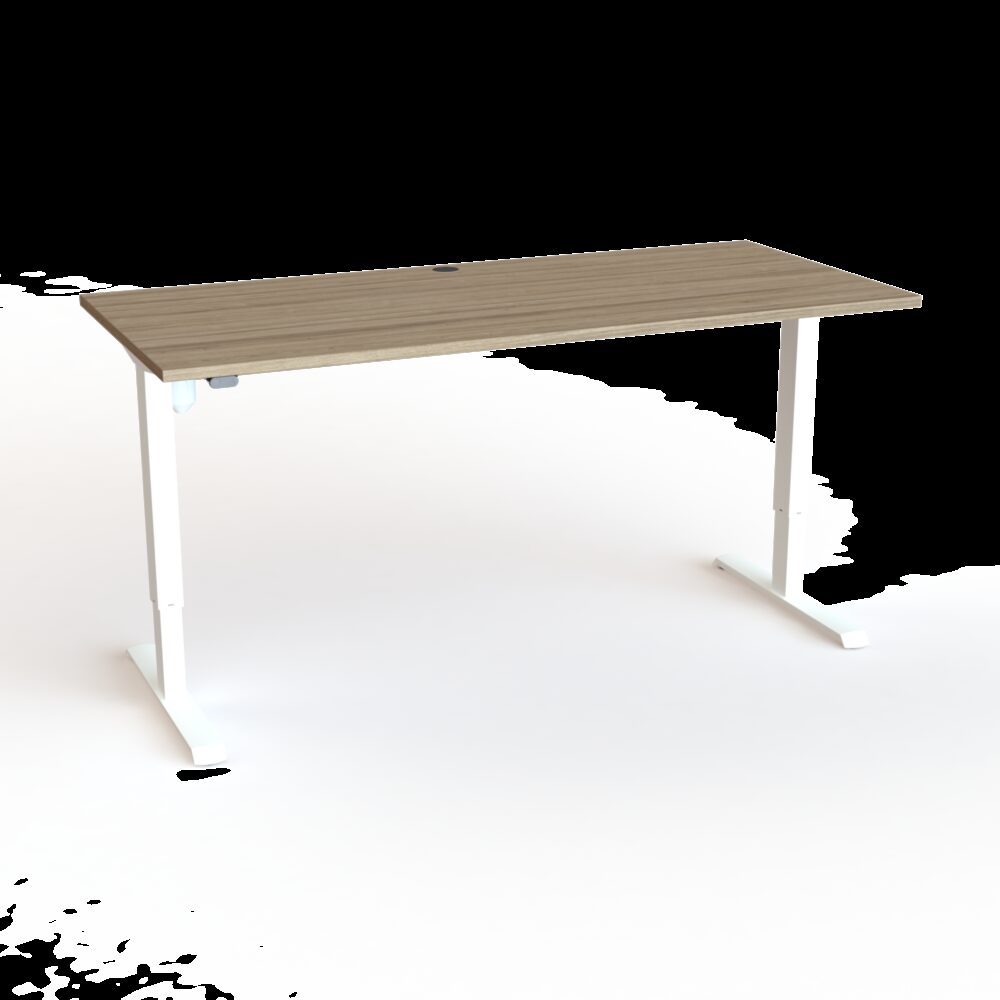 Mesa Elevable Eléctrica 501.33