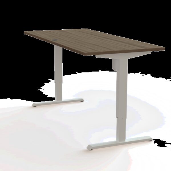 Mesa Elevable Eléctrica 501.33