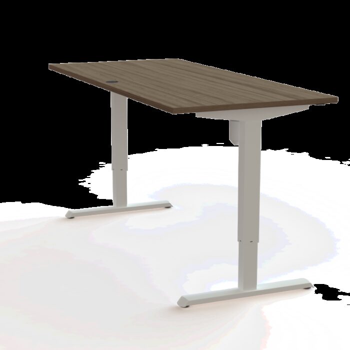 Mesa Elevable Eléctrica 501.33