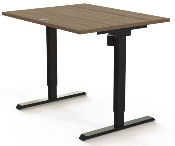 Mesa Elevable Eléctrica 501.20