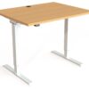 Mesa Elevable Eléctrica 501.20