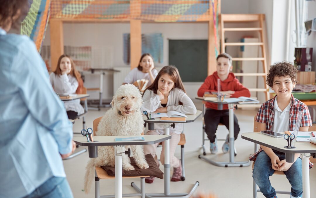 Mobiliario escolar personalizado para escuelas