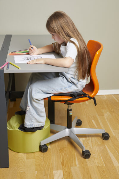 Cojin Protac Ball B38mm office chair