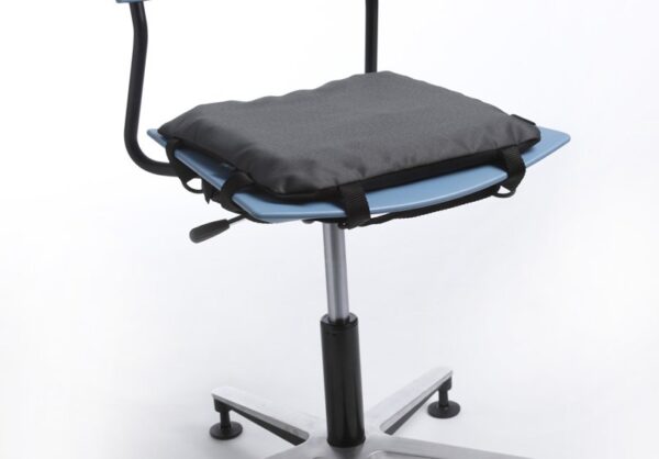 Cojin Protac Ball B25mm office chair